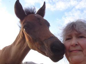 Fohlen-Kuss von Nynyaa - Pferde-Mensch-Vertrauen von klein auf